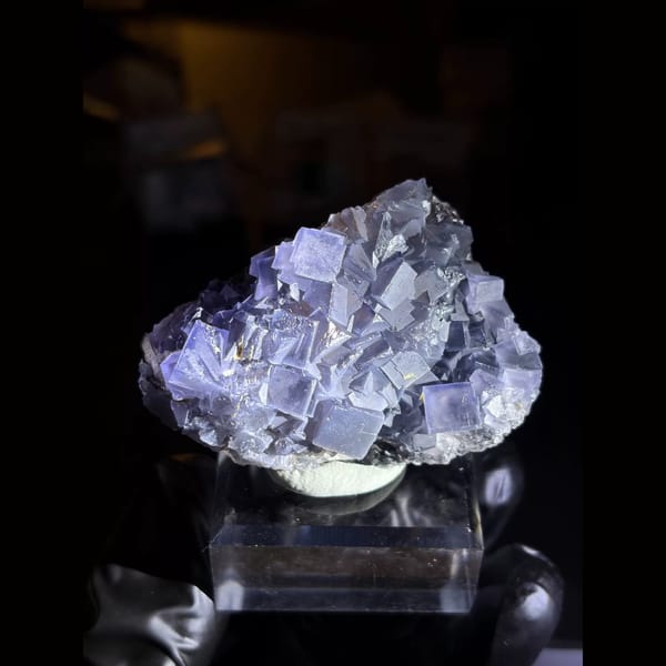 Black porcelain blue fluorite from Weishan — complete view