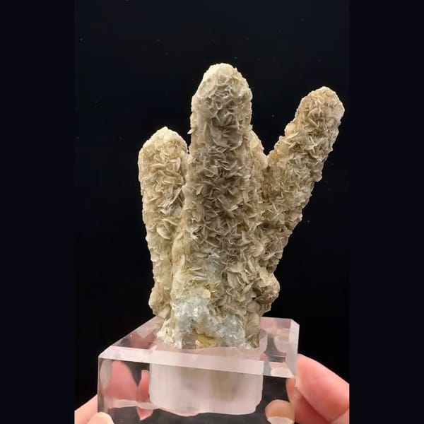 Branching quartz coated in sugary tan calcite petals from Inner Mongolia — alternate view