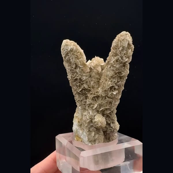 Branching quartz coated in sugary tan calcite petals from Inner Mongolia — detail view