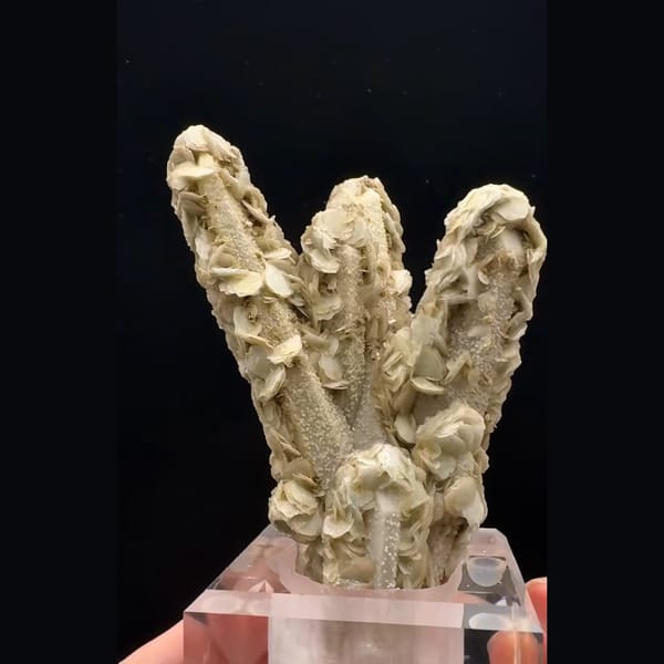 Branching quartz coated in sugary tan calcite petals from Inner Mongolia — detail view