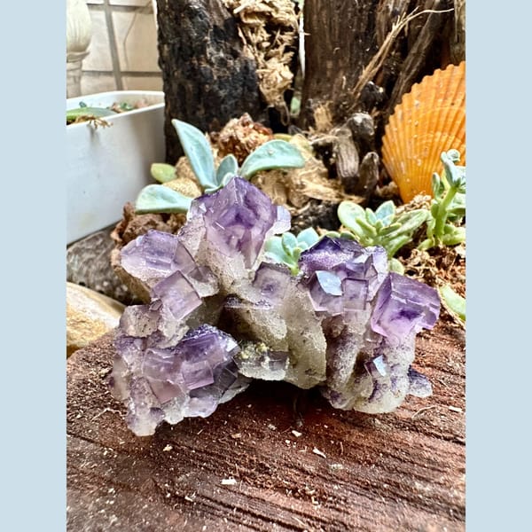 Purple and White Fluorite Cluster Henan 7.0 cm — complete view