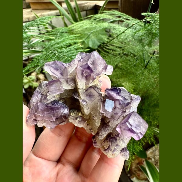 Purple and White Fluorite Cluster Henan 7.0 cm — alternate view