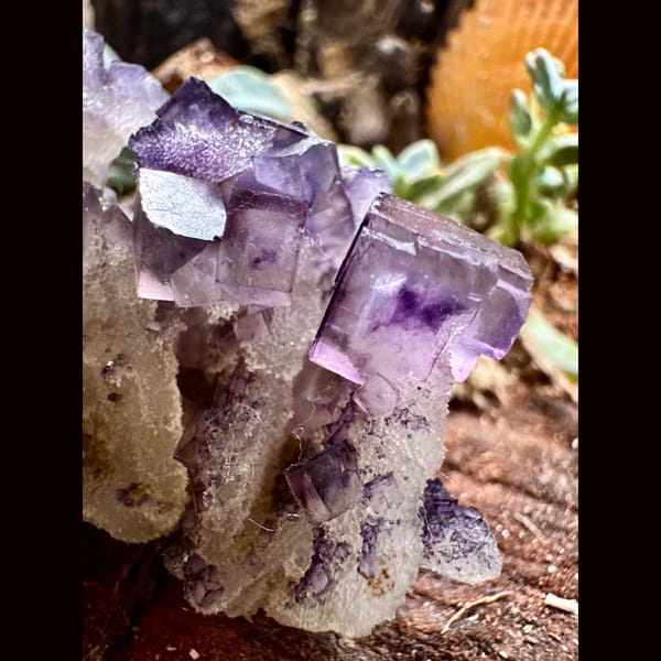 Purple and White Fluorite Cluster Henan 7.0 cm — alternate view