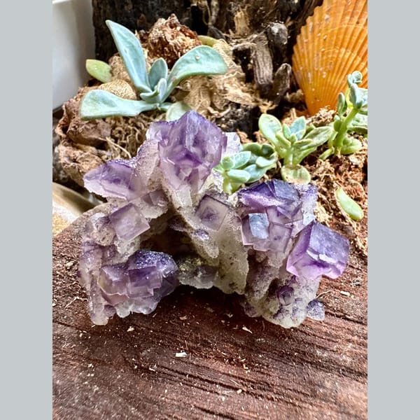 Purple and White Fluorite Cluster Henan 7.0 cm — detail view