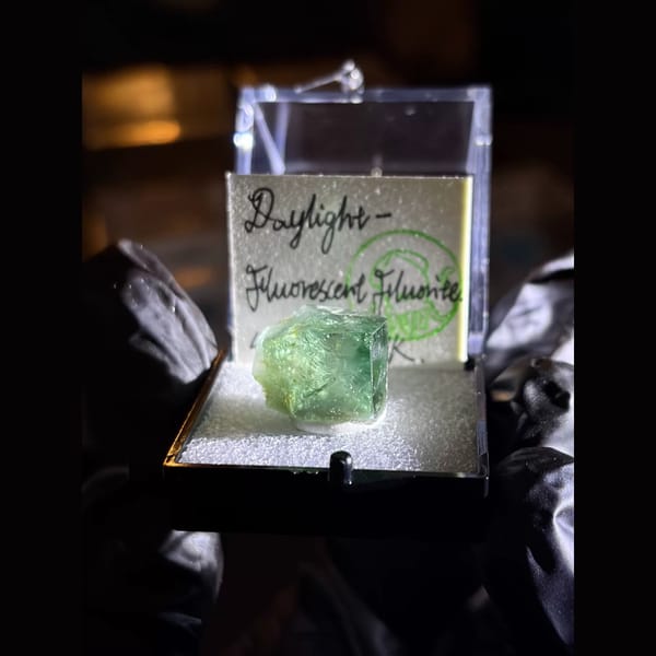 Green daylight fluorescent fluorite from the 42 Pocket — complete view