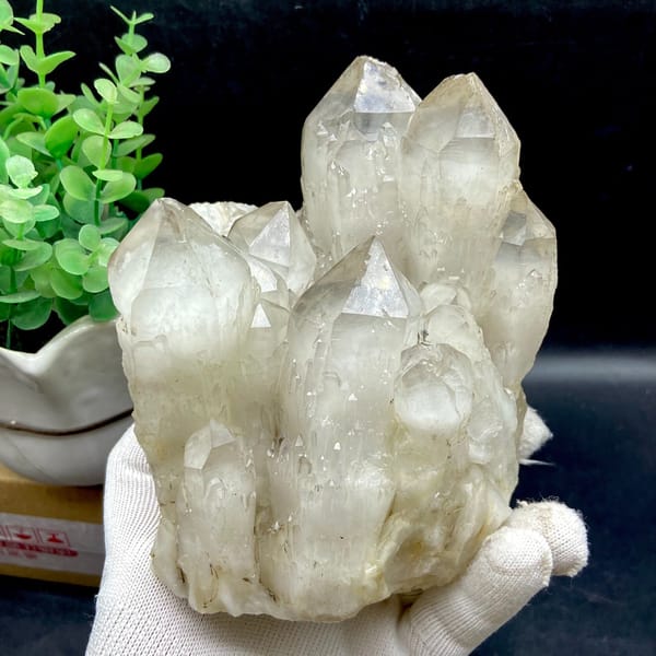 Large white quartz point cluster from Guangdong — complete view