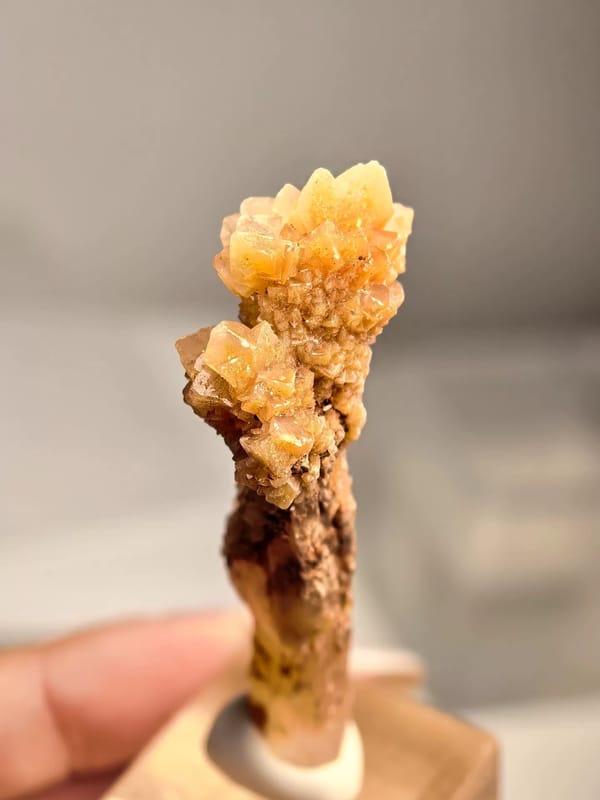 Calcite Flower Column on Slender Matrix — Yunnan — individual mineral specimen view 1