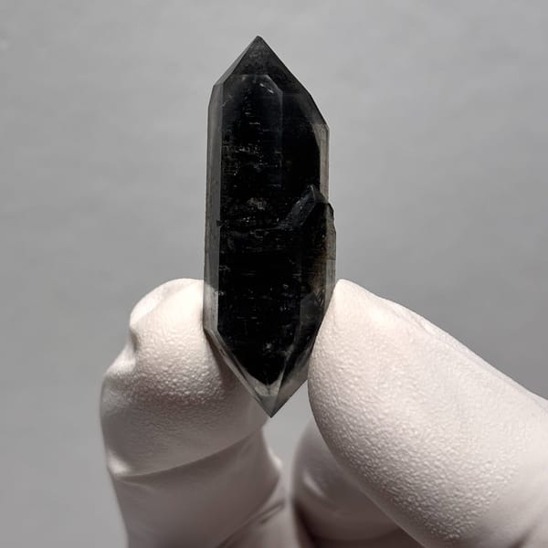 Sugar-core dt Yunnan 4.2 cm — alternate view