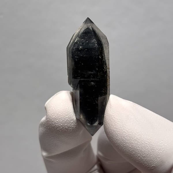 Sugar-core dt Yunnan 4.2 cm — detail view