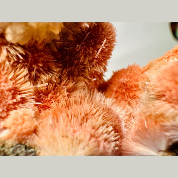 Orange Zeolite Spray Cluster India 12.0 cm — alternate view