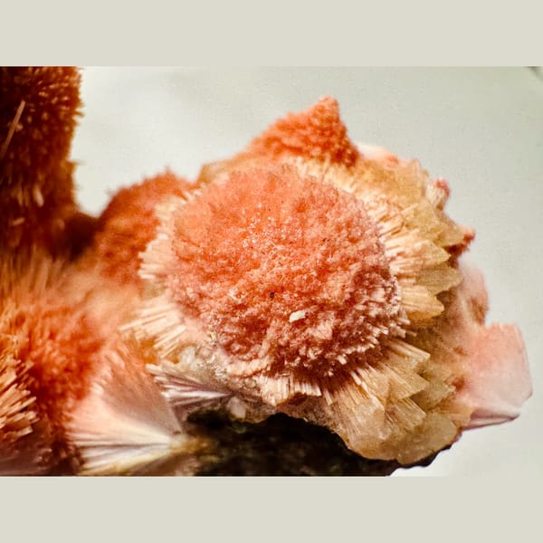 Orange Zeolite Spray Cluster India 12.0 cm — detail view