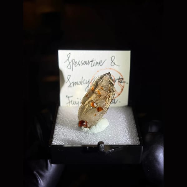 Spessartine garnet on smoky quartz from Fujian — complete view
