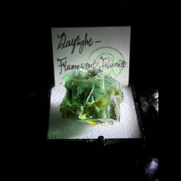 Daylight fluorescent green fluorite from the Diana Maria Mine — complete view