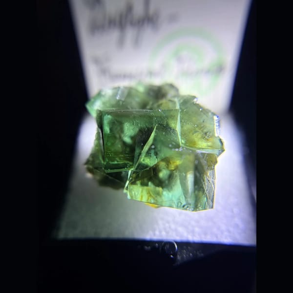 Daylight fluorescent green fluorite from the Diana Maria Mine — alternate view