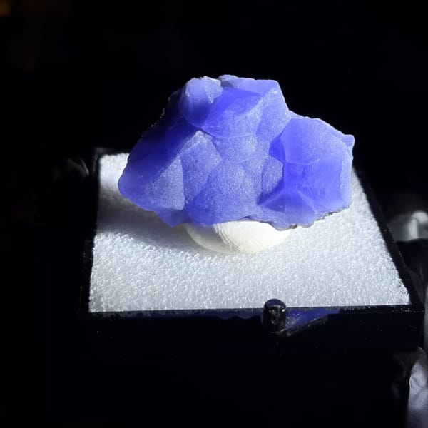 Blue Botryoidal Fluorite Xinyang Henan in 5 cm box — complete view