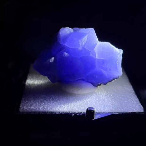 Blue Botryoidal Fluorite Xinyang Henan in 5 cm box — detail view