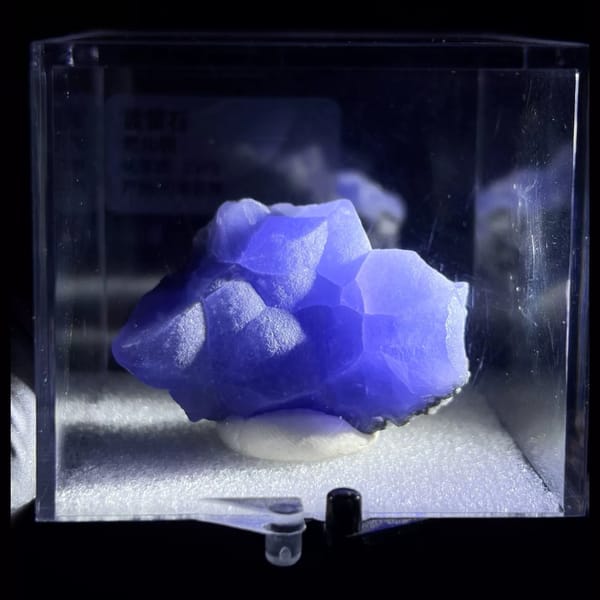 Blue Botryoidal Fluorite Xinyang Henan in 5 cm box — detail view