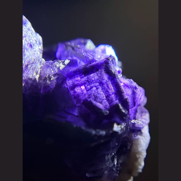Deep purple-edged fluorite on white matrix from Inner Mongolia — detail view