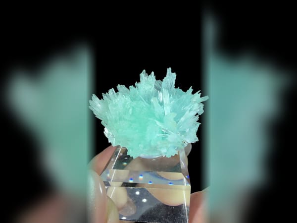 Transparent Blue Acicular Crystal Flower Cluster, Collector Mineral Specimen — complete view