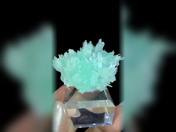 Transparent Blue Acicular Crystal Flower Cluster, Collector Mineral Specimen — alternate view