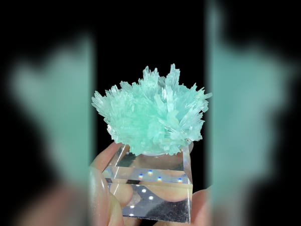 Transparent Blue Acicular Crystal Flower Cluster, Collector Mineral Specimen — alternate view