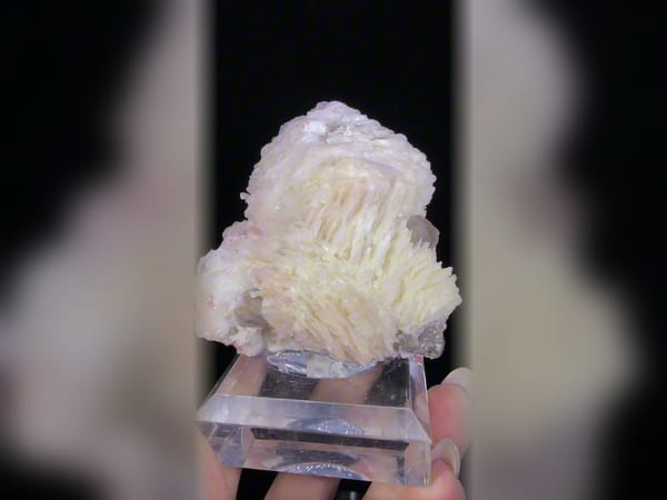 Pink Calcite Flowers in Smoky Quartz, Fluorescent Included Mineral Specimen — alternate view