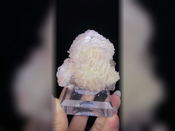 Pink Calcite Flowers in Smoky Quartz, Fluorescent Included Mineral Specimen — alternate view