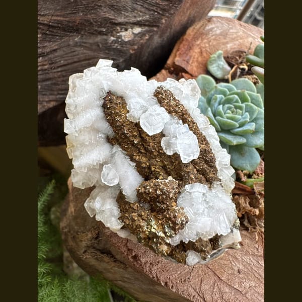White Calcite on Brown Pyrite Base Daye 7.0 cm — complete view