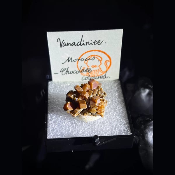 Chocolate-brown vanadinite cluster from Morocco — complete view