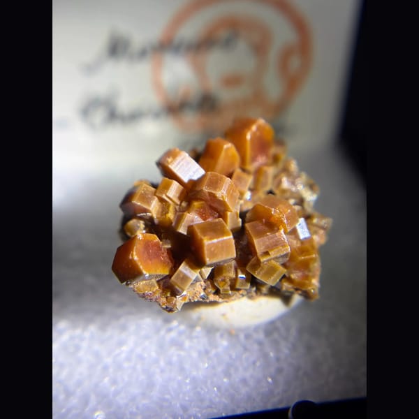 Chocolate-brown vanadinite cluster from Morocco — detail view