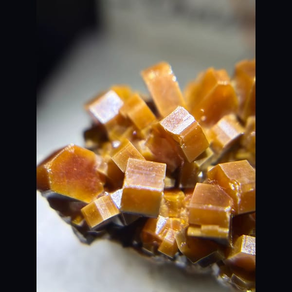 Chocolate-brown vanadinite cluster from Morocco — detail view