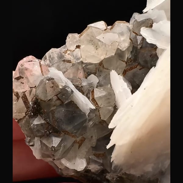 White petal calcite on smoky quartz with specular hematite from Inner Mongolia — detail view