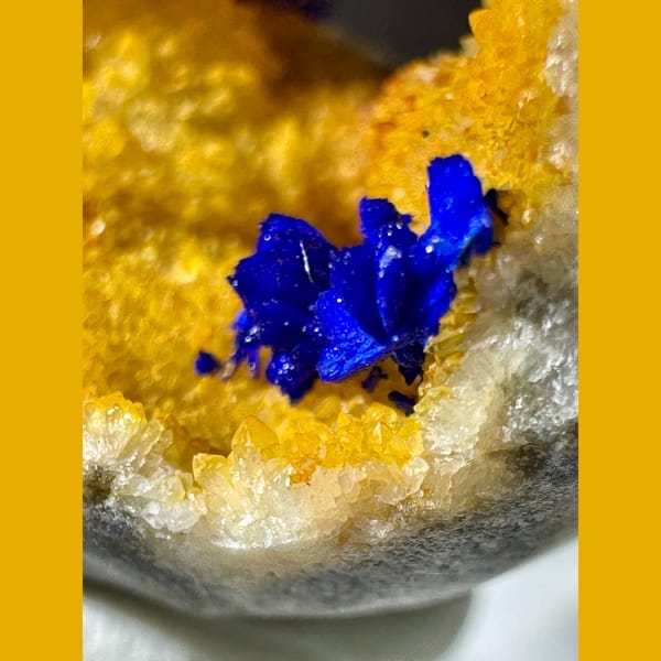 Azurite in Golden Quartz Geode 2.5 cm — detail view