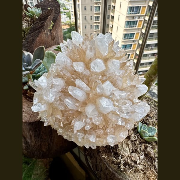 Spherical Calcite Flower Cluster 9.0 cm — complete view