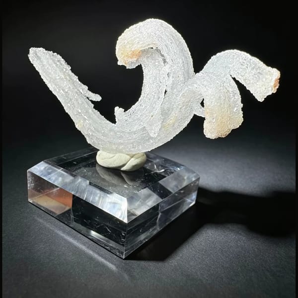 Ram's Horn Selenite Guizhou 5.0 cm — alternate view