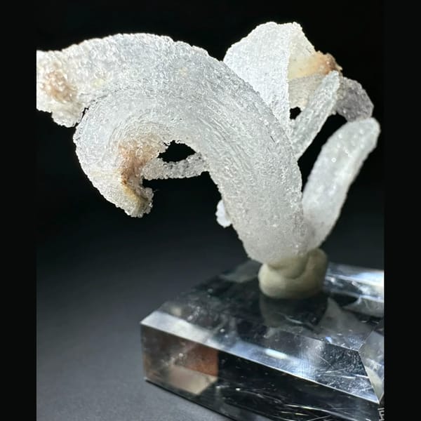 Ram's Horn Selenite Guizhou 5.0 cm — alternate view