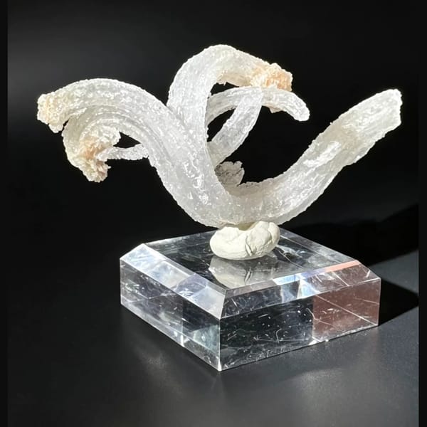 Ram's Horn Selenite Guizhou 5.0 cm — detail view