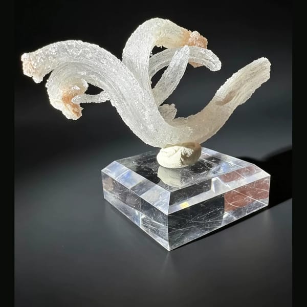 Ram's Horn Selenite Guizhou 5.0 cm — detail view