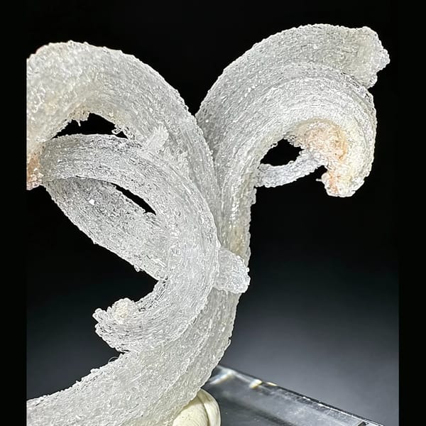 Ram's Horn Selenite Guizhou 5.0 cm — detail view