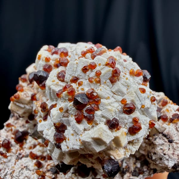 Glossy red-brown garnet crystals on white feldspar from Fujian — alternate view