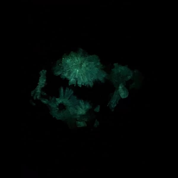 Fluorescent flower gearksutite with gibbsite from Qinglong — detail view