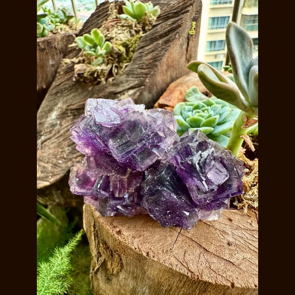 Purple Fluorite Cube Cluster Henan 7.0 cm — complete view