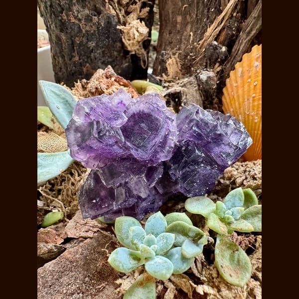 Purple Fluorite Cube Cluster Henan 7.0 cm — alternate view