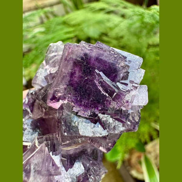 Purple Fluorite Cube Cluster Henan 7.0 cm — alternate view