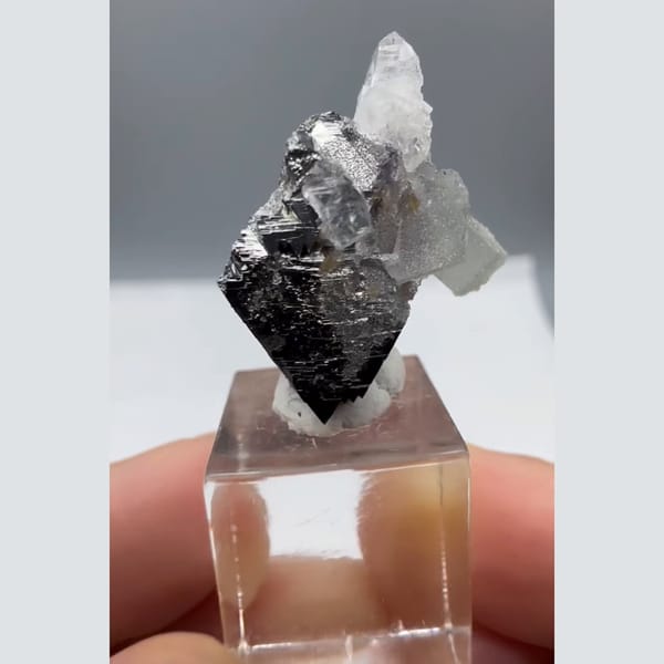 Arsenopyrite with Apatite and Quartz Yaogangxian 2.3 cm — complete view