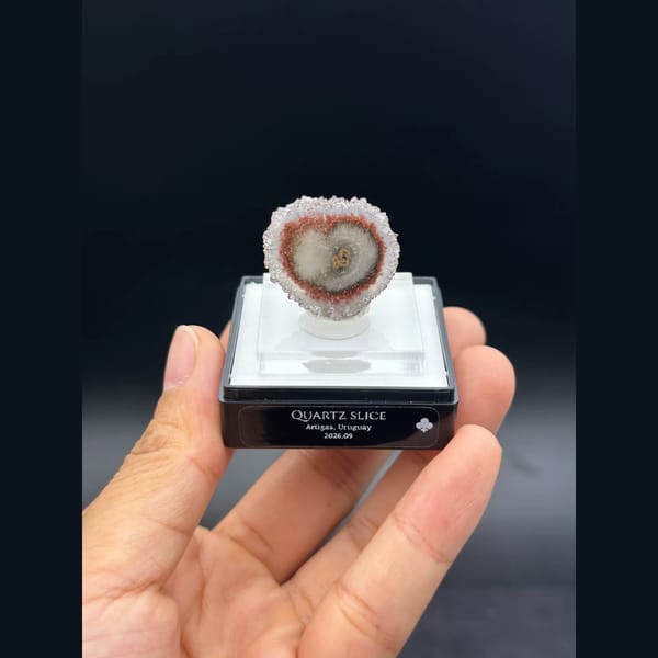 Heart-shaped quartz stalactite slice from Artigas, Uruguay — complete view
