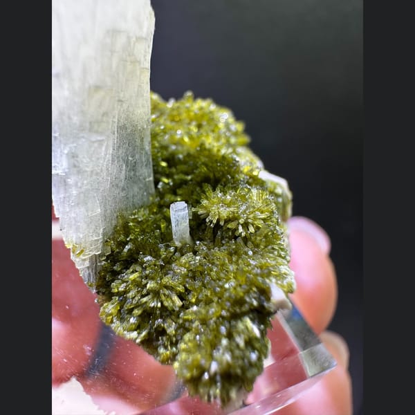 White zeolite crystal over green epidote from Fujian — alternate view