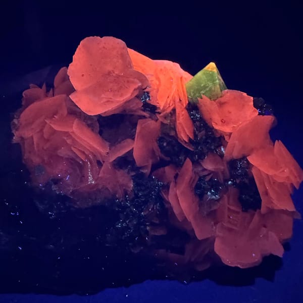 Quartz with Wolframite, Scheelite and Calcite Yaogangxian 9.0 cm — complete view