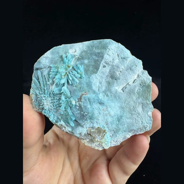 Fluorescent flower gibbsite with gearksutite from Qinglong — complete view
