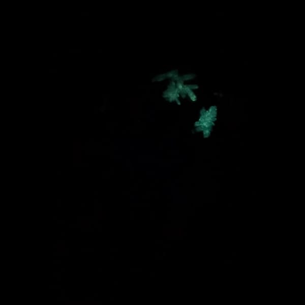 Large fluorescent blue gibbsite and allophane plate from Qinglong — detail view